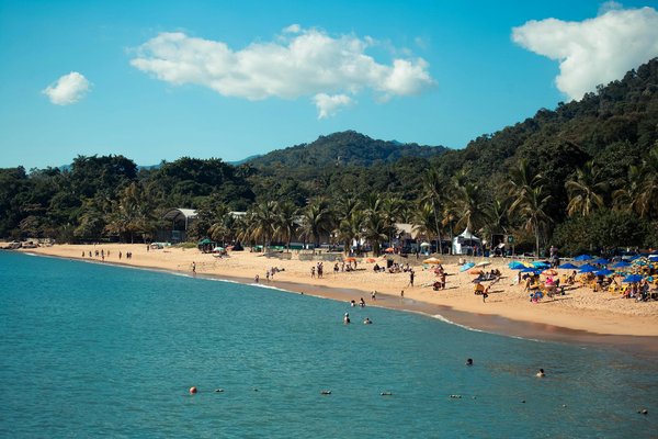 Escapade En Famille Mémorable au Zoo de Beauval : Un Voyage Inoubliable au Coeur de la Faune